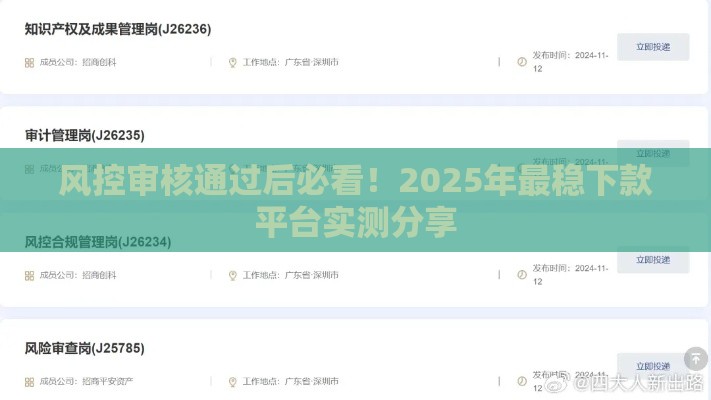 风控审核通过后必看！2025年最稳下款平台实测分享