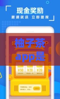 柚子茶app是哪个系列的口子？揭秘这个贷款平台的真实背景