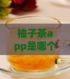 柚子茶app是哪个系列的口子？揭秘这个贷款平台的真实背景