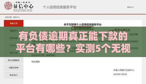 有负债逾期真正能下款的平台有哪些？实测5个无视征信的良心口子