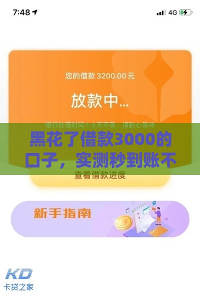 黑花了借款3000的口子，实测秒到账不查征信的良心平台