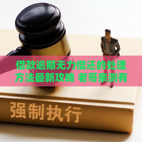 借款逾期无力偿还的处理方法最新攻略 老哥亲测有效
