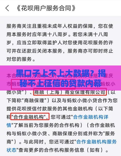 黑口子上不上大数据？揭秘不上征信的贷款内幕