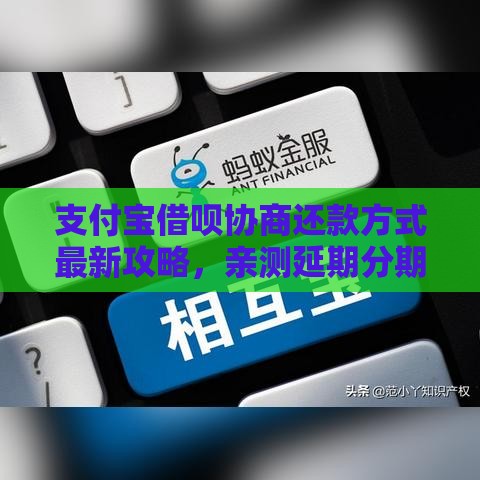 支付宝借呗协商还款方式最新攻略，亲测延期分期技巧
