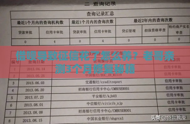 借呗导致征信花了怎么养？老哥亲测3个月修复秘籍