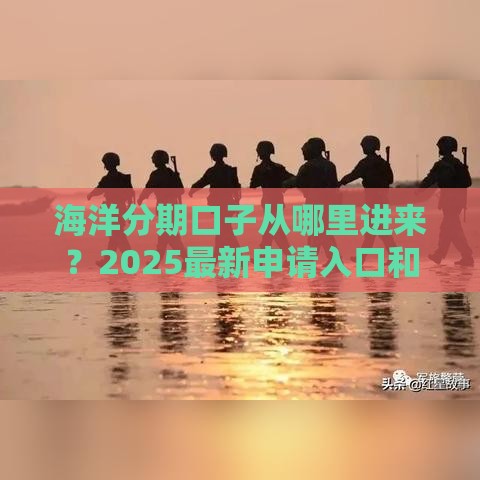 海洋分期口子从哪里进来？2025最新申请入口和技巧分享