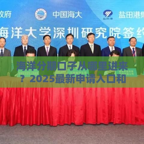 海洋分期口子从哪里进来？2025最新申请入口和技巧分享