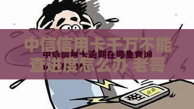 中信信用卡千万不能查进度怎么办 老哥亲测这三个野路子秒出结果