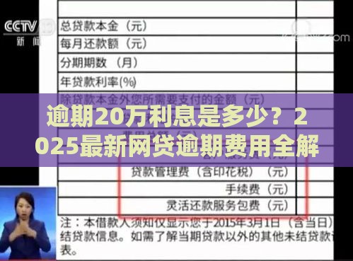 逾期20万利息是多少？2025最新网贷逾期费用全解析