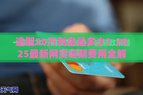 逾期20万利息是多少？2025最新网贷逾期费用全解析