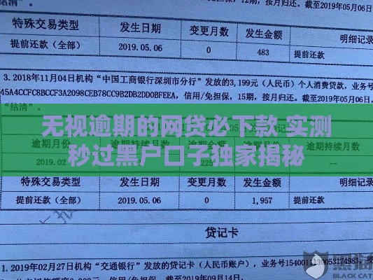 无视逾期的网贷必下款 实测秒过黑户口子独家揭秘