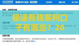 极速有钱系列口子有哪些？2025最新靠谱网贷平台大揭秘