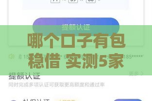 哪个口子有包稳借 实测5家秒下款平台内幕曝光