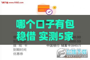 哪个口子有包稳借 实测5家秒下款平台内幕曝光