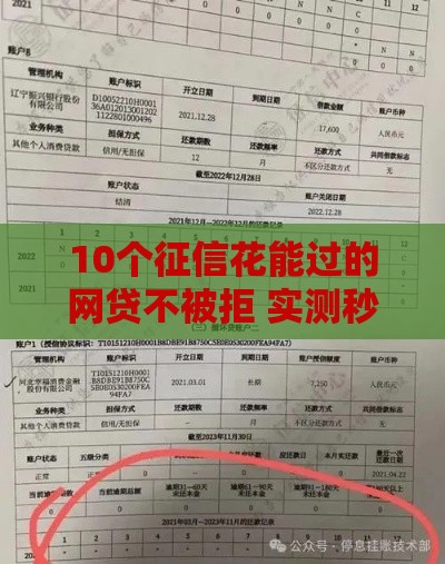 10个征信花能过的网贷不被拒 实测秒批下款快的良心口子
