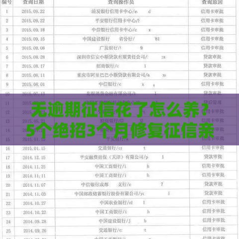 无逾期征信花了怎么养？5个绝招3个月修复征信亲测有效