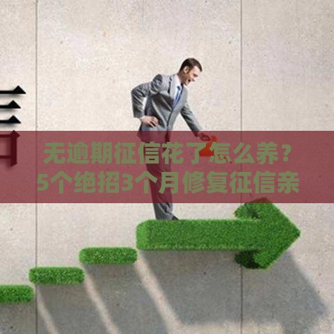 无逾期征信花了怎么养？5个绝招3个月修复征信亲测有效