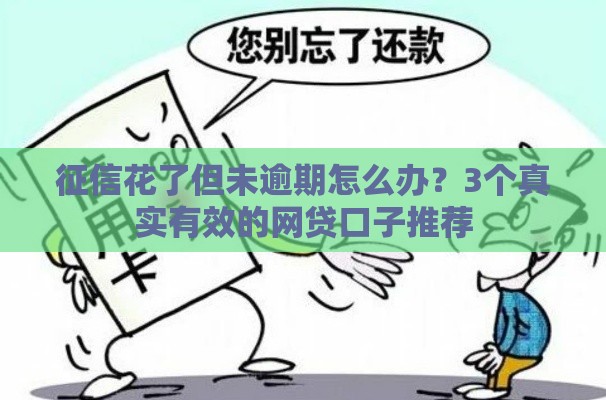 征信花了但未逾期怎么办？3个真实有效的网贷口子推荐