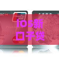 iOS新口子贷款2025最新秒批通道，亲测当天到账不查征信