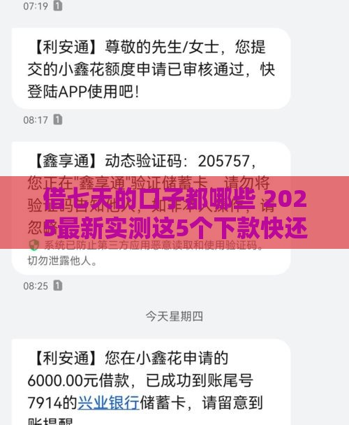 借七天的口子都哪些 2025最新实测这5个下款快还稳