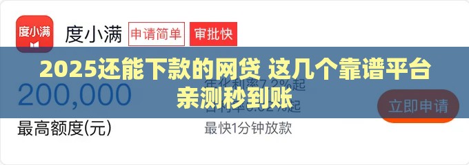 2025还能下款的网贷 这几个靠谱平台亲测秒到账