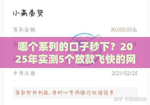 哪个系列的口子秒下？2025年实测5个放款飞快的网贷平台