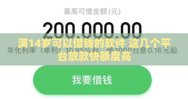 满14岁可以借钱的软件 这几个平台放款快额度高