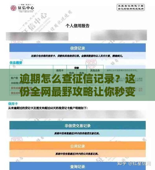 逾期怎么查征信记录？这份全网最野攻略让你秒变信用专家