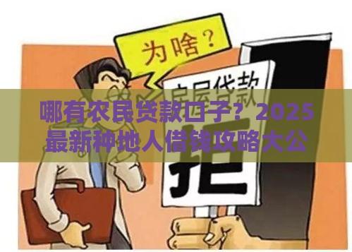 哪有农民贷款口子？2025最新种地人借钱攻略大公开