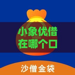 小象优借在哪个口子 最新靠谱借款渠道推荐