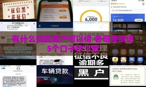 有什么借款黑户可以借 老哥亲测这5个口子秒下款