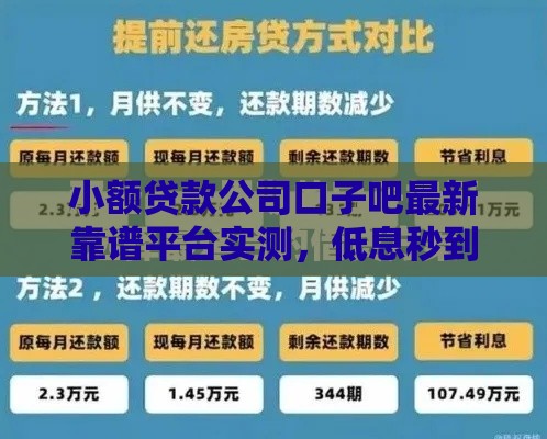 小额贷款公司口子吧最新靠谱平台实测，低息秒到账攻略