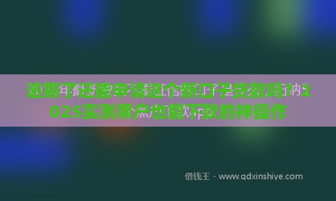 逾期了还能申请这个新口子贷款吗？2025实测黑户也能下款的神操作