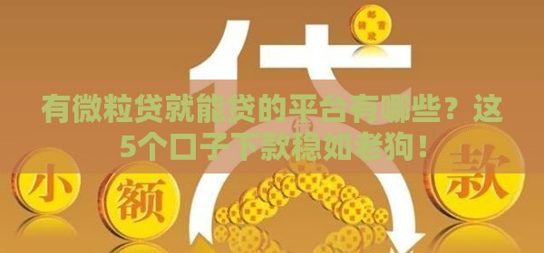 有微粒贷就能贷的平台有哪些？这5个口子下款稳如老狗！