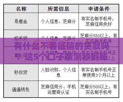 有什么不看征信的贷款吗？这5个口子亲测秒到账！