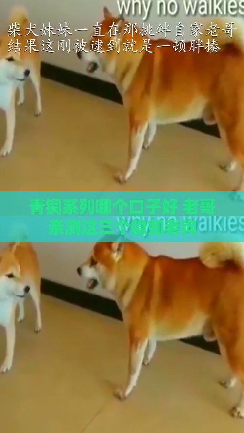 青铜系列哪个口子好 老哥亲测这三个稳如老狗