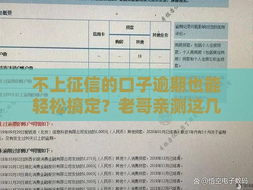 不上征信的口子逾期也能轻松搞定？老哥亲测这几个平台稳如老狗