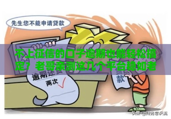 不上征信的口子逾期也能轻松搞定？老哥亲测这几个平台稳如老狗
