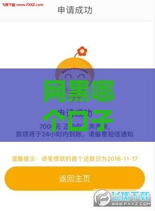 网黑哪个口子下款快 实测2025年秒过小额贷攻略