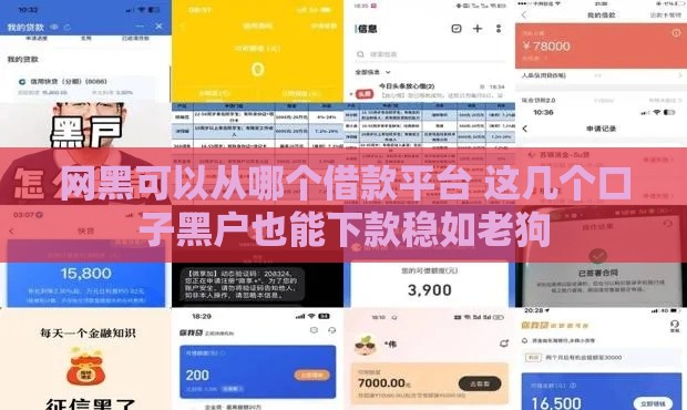 网黑可以从哪个借款平台 这几个口子黑户也能下款稳如老狗