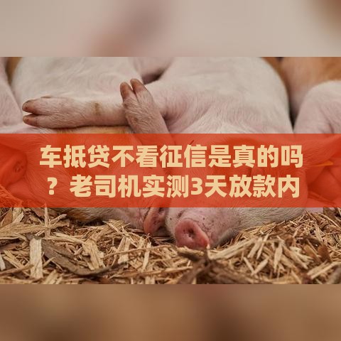 车抵贷不看征信是真的吗？老司机实测3天放款内幕曝光
