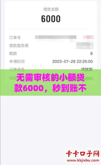 无需审核的小额贷款6000，秒到账不查征信的口子推荐