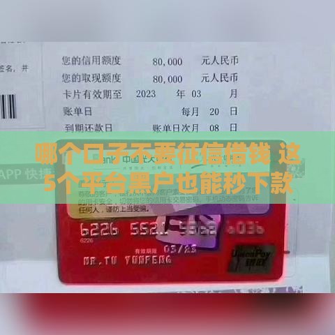 哪个口子不要征信借钱 这5个平台黑户也能秒下款