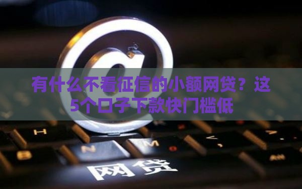 有什么不看征信的小额网贷？这5个口子下款快门槛低