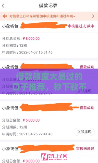 借款额度大易过的口子推荐，秒下款不查征信的平台实测