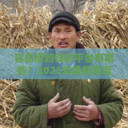 容易借到钱的平台有哪些？2025年最新靠谱网贷口子推荐