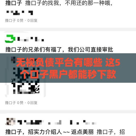 无视负债平台有哪些 这5个口子黑户都能秒下款