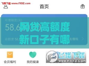 网贷高额度新口子有哪些？2025年最新5个下款快额度大的平台实测