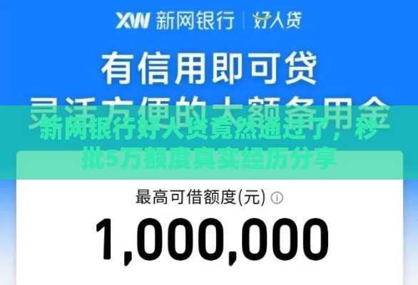 新网银行好人贷竟然通过了，秒批5万额度真实经历分享