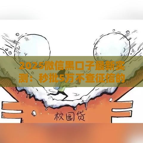 2025微信黑口子最新实测：秒批5万不查征信的秘密通道